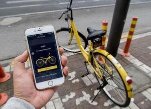 ofo最新爆料,揭秘共享单车巨头背后的真相与困境” 第3张 ofo最新爆料,揭秘共享单车巨头背后的真相与困境” 第3张